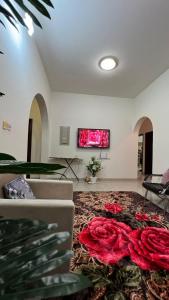 TV a/nebo společenská místnost v ubytování Ariyan + 12 fotografií