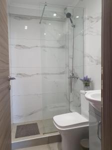 a bathroom with a shower with a toilet and a sink at Villa Modern Nikiti in Nikiti