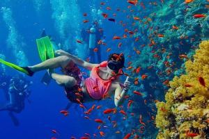 a woman in the water with a book and fish at COCCOBELLO AFRICAN Village- in Nungwi