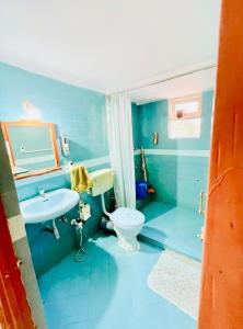 カラングートにあるLandscape Holiday Homesの青いバスルーム(トイレ、シンク付)