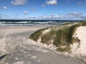 a sandy beach with some grass and the ocean at FeWo Clara - Ferienhaus Hiddensee in Kloster