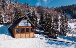 a log cabin in the snow with trees at Montesse Chalet- La noi la munte in Arada