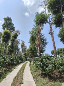 Gallery image of Hidden Haven 1BR Coorg in Kushālnagar