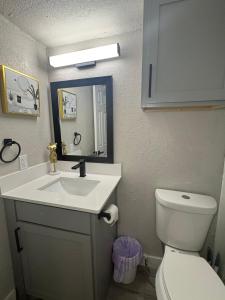 a bathroom with a sink and a toilet and a mirror at 4 STATE FAIR l DT Dallas l FIFA READY l Staycation 1Bd1Ba in Dallas