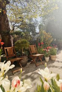 Ein Garten an der Unterkunft powiew - b&b pensjonat noclegi Świnoujście - Unterkunft Swinemünde - guesthouse tennis garden breakfast at baltic sea