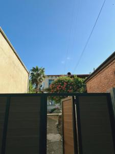 Afbeelding uit fotogalerij van Sunflower in Telavi