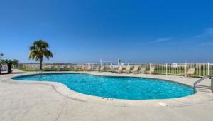 a swimming pool with chairs and a palm tree at Plantation Palms 6103 in Gulf Highlands