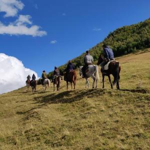 Foto dalla galleria di Hotel Chveneburi a Machakhlispiri