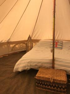 Gallery image of Ocean View Bell Tents in Boscastle +6 photos