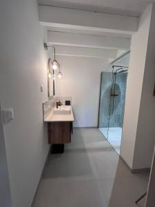 a bathroom with a sink and a shower at la maison de Mélissa in Gétigné