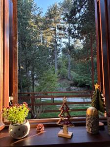 Billede fra billedgalleriet på Moonica Rujiste i Mostar