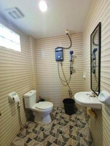 a bathroom with a toilet and a sink at Virginia Homestay 1North Siargao in Burgos