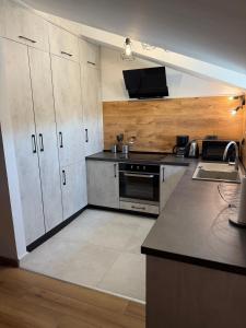 Kuchyň nebo kuchyňský kout v ubytování Apartment Zidaric