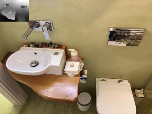 a bathroom with a sink and a toilet at Atelies Stone House in Potamiá