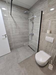 une salle de bain avec douche et toilettes dans l'établissement True Apartment Jure - FREE Boat Trip for 7 or more Nights!, à Biograd na Moru 7 autres photos