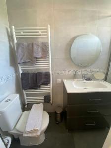 a bathroom with a toilet and a sink and a mirror at Les Charmettes chambre double indépendante in Villemoisson-sur-Orge +18 photos