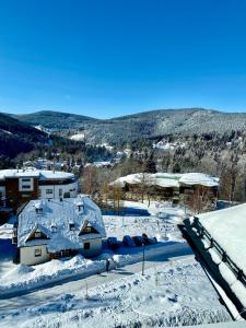 arial view of a house in the snow at Studio Palace 404 in Špindlerův Mlýn +3 photos