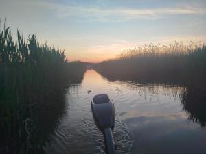 Gallery image of Pfahlbau Sunset I Toplage Elektroboot inklusive in Rust +105 photos