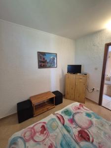 TV a/nebo společenská místnost v ubytování Apartmani Mira