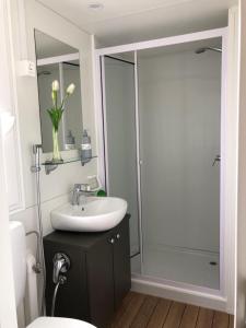 a bathroom with a sink and a glass shower at Tiny house on the beach in Lido di Classe