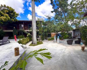 a courtyard with a cat and a palm tree at Suíte 8 - Village Capixaba in Gravatá