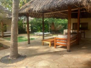 Κήπος έξω από το Flavia house