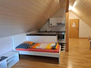 Kuchyň nebo kuchyňský kout v ubytování good bed Aarwangen