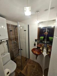 a bathroom with a shower and a toilet and a sink at Domek Przy Promenadzie Zdrojowej in Gołdap +46 photos