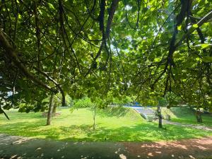 Zahrada ubytování Foresta Resort Sigiriya