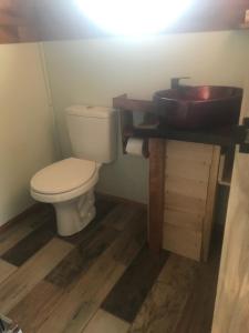 um banheiro com vaso sanitário e pia em Cabañas Rewe del Maulllin em Puerto Varas mais 2 fotografias