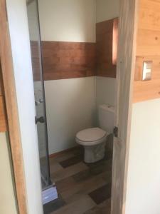 um banheiro com vaso sanitário e box de vidro em Cabañas Rewe del Maulllin em Puerto Varas