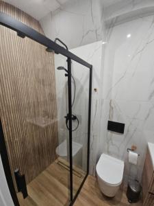 Ένα μπάνιο στο Apartament Jurajski Centrum Częstochowy