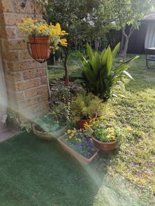Zahrada ubytování B&B Porte Rosse