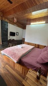 TV a/nebo společenská místnost v ubytování The himalayan sukoon villa near jibhi