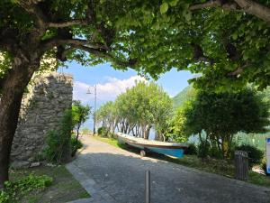 Φυσικό τοπίο κοντά σε αυτό το διαμέρισμα +3 φωτογραφίες