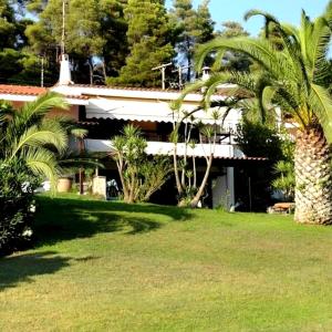 Vonkajšia záhrada v ubytovaní Beachfront Villa 100m from Sea for up to 10 guests
