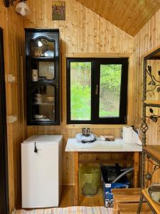 a kitchen with a refrigerator and a window at Wolfs Den Lepsa in Lepşa