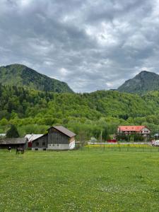 a farm with a field of green grass and mountains at Wolfs Den Lepsa in Lepşa +14 photos