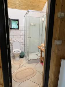 a bathroom with a toilet and a glass shower at Wolfs Den Lepsa in Lepşa