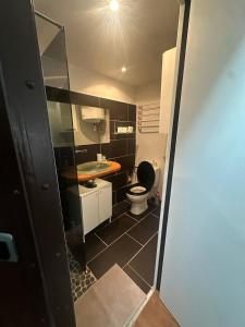 a small bathroom with a toilet and a sink at Charmant duplex in Clermont-Ferrand