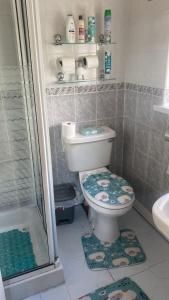 A bathroom at Gra accommodations athy