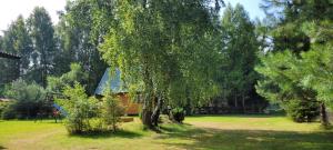 Vườn quanh Sasino, domki Ptyś i Balbina