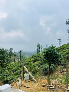 Gallery image of Edenvilla in Vālpārai