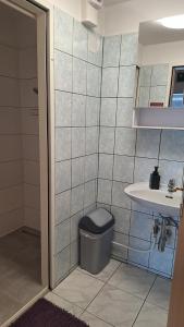 Koupelna v ubytování Pension Haus Nova