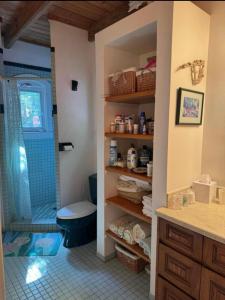 a bathroom with a shower and a toilet in it at Blue Pearl Villa in St John USVI in Coral Bay