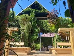 a building covered in plants and an umbrella at Olivia in Sianozety +8 photos