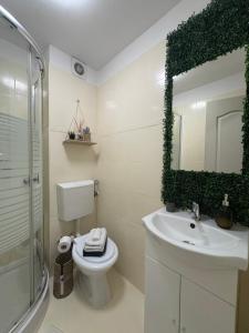 a bathroom with a toilet and a sink and a mirror at Coquette Room in Ploieşti