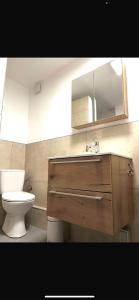 a bathroom with a toilet and a sink and a mirror at Home 2 in Grengiols +11 photos