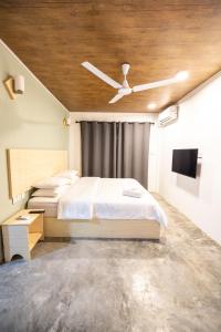 Gallery image of Bibee Surf in Thulusdhoo +67 photos