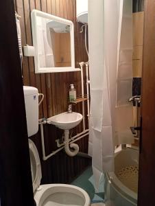 Koupelna v ubytování Studio apartman Dragana